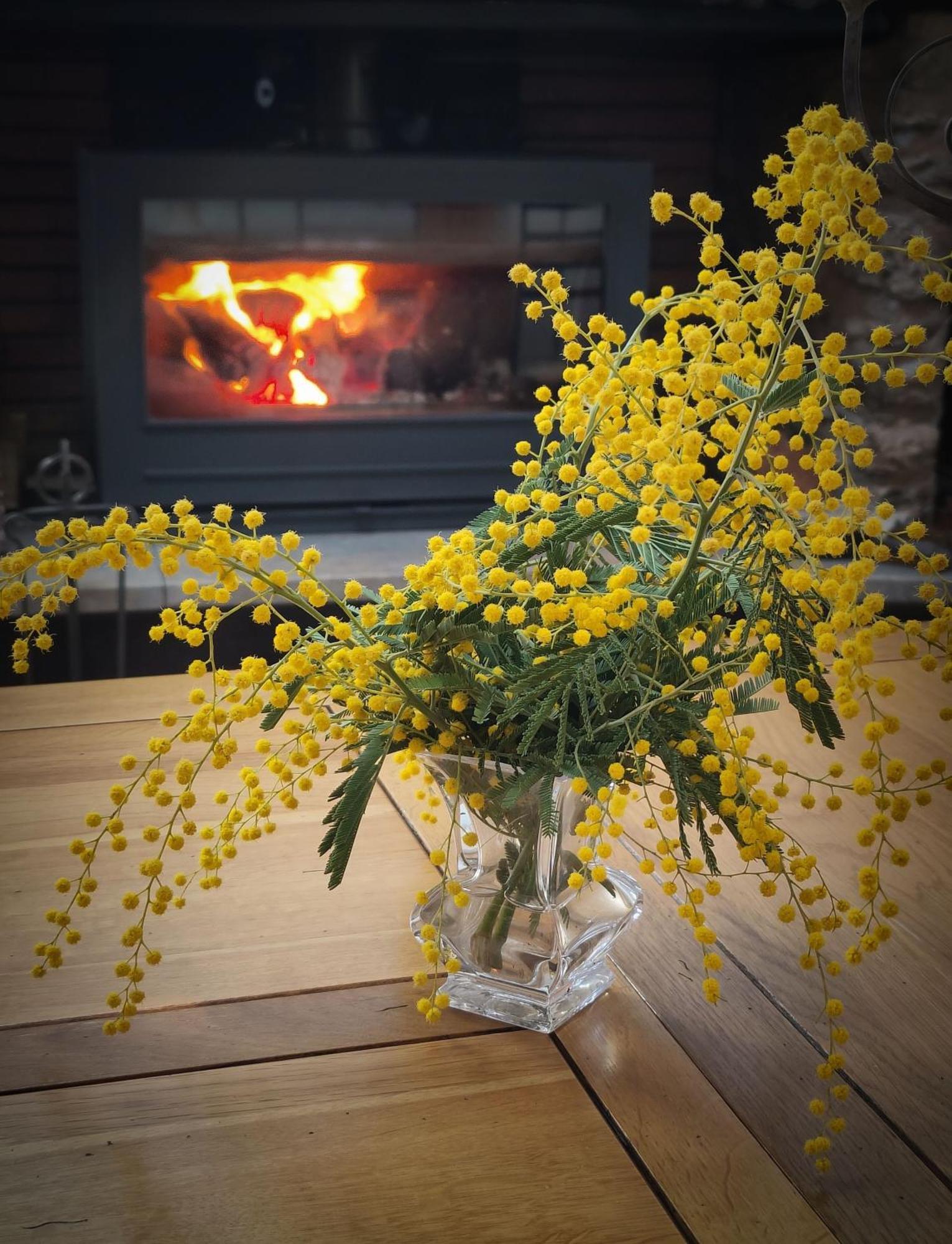 Mas Peu Del Causse Bed & Breakfast Thuir Dış mekan fotoğraf